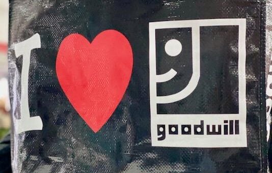 best goodwill finds