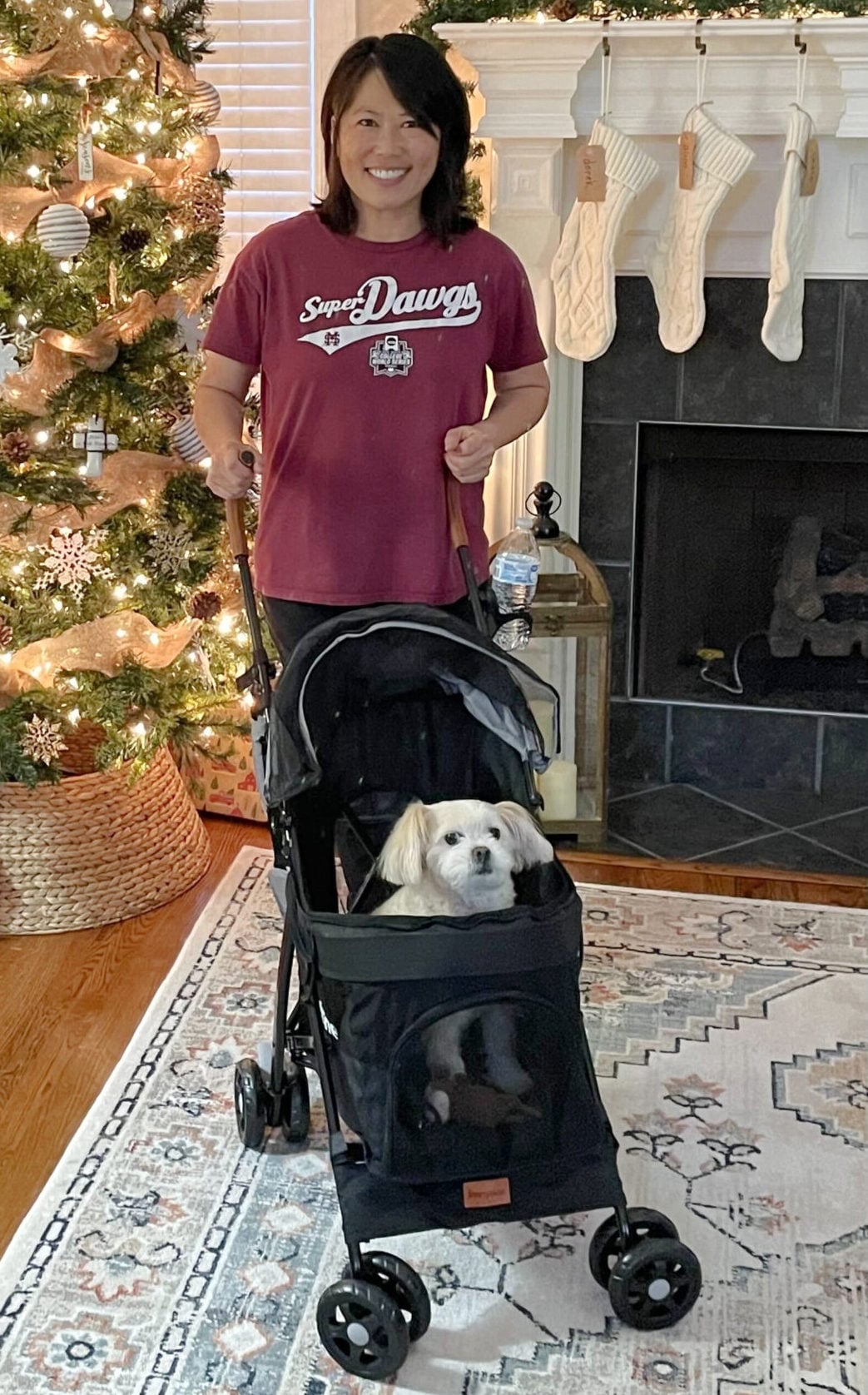 dog stroller