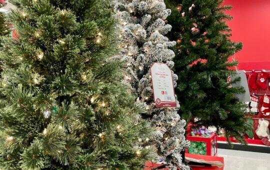 target christmas trees
