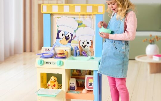 bluey play kitchen