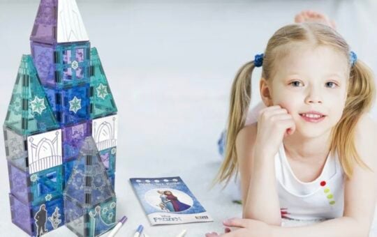 frozen magnetic tiles