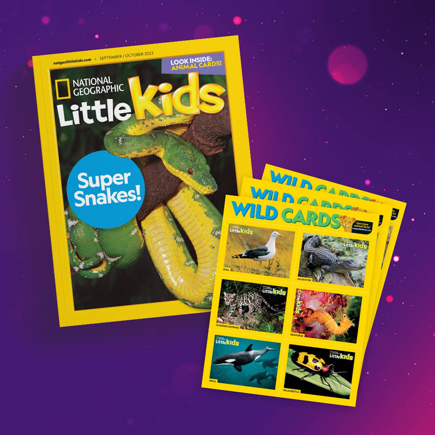 national geographic magazines