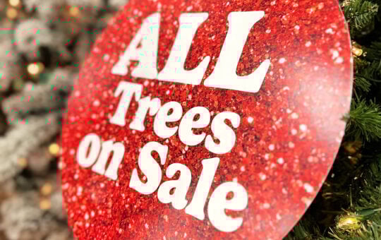 target christmas trees