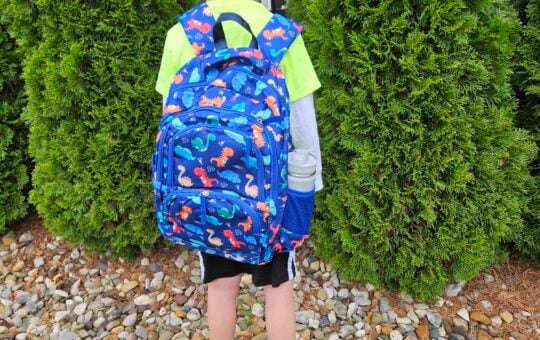 cluci backpack