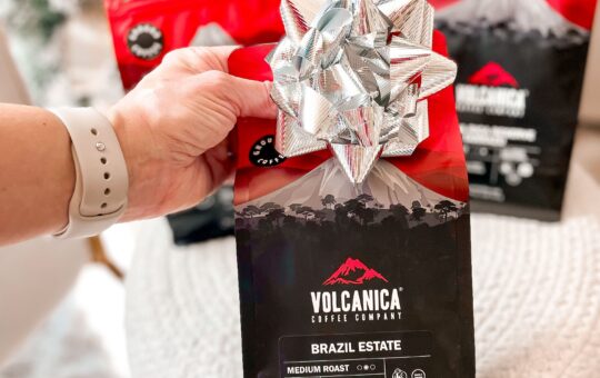 volcanica