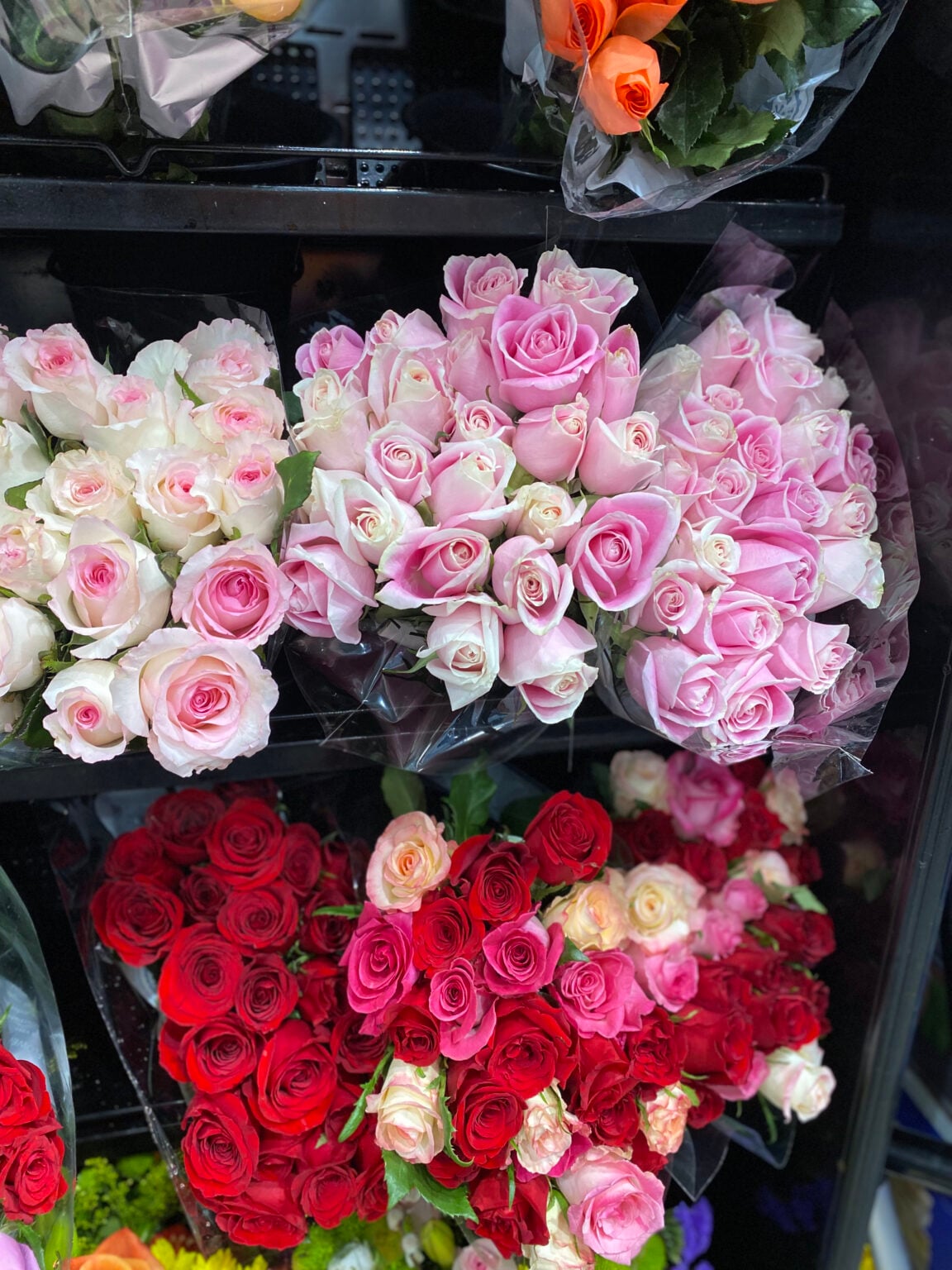 Costco | Pre-Order 50 Beautiful Roses for Under $55 Delivered!