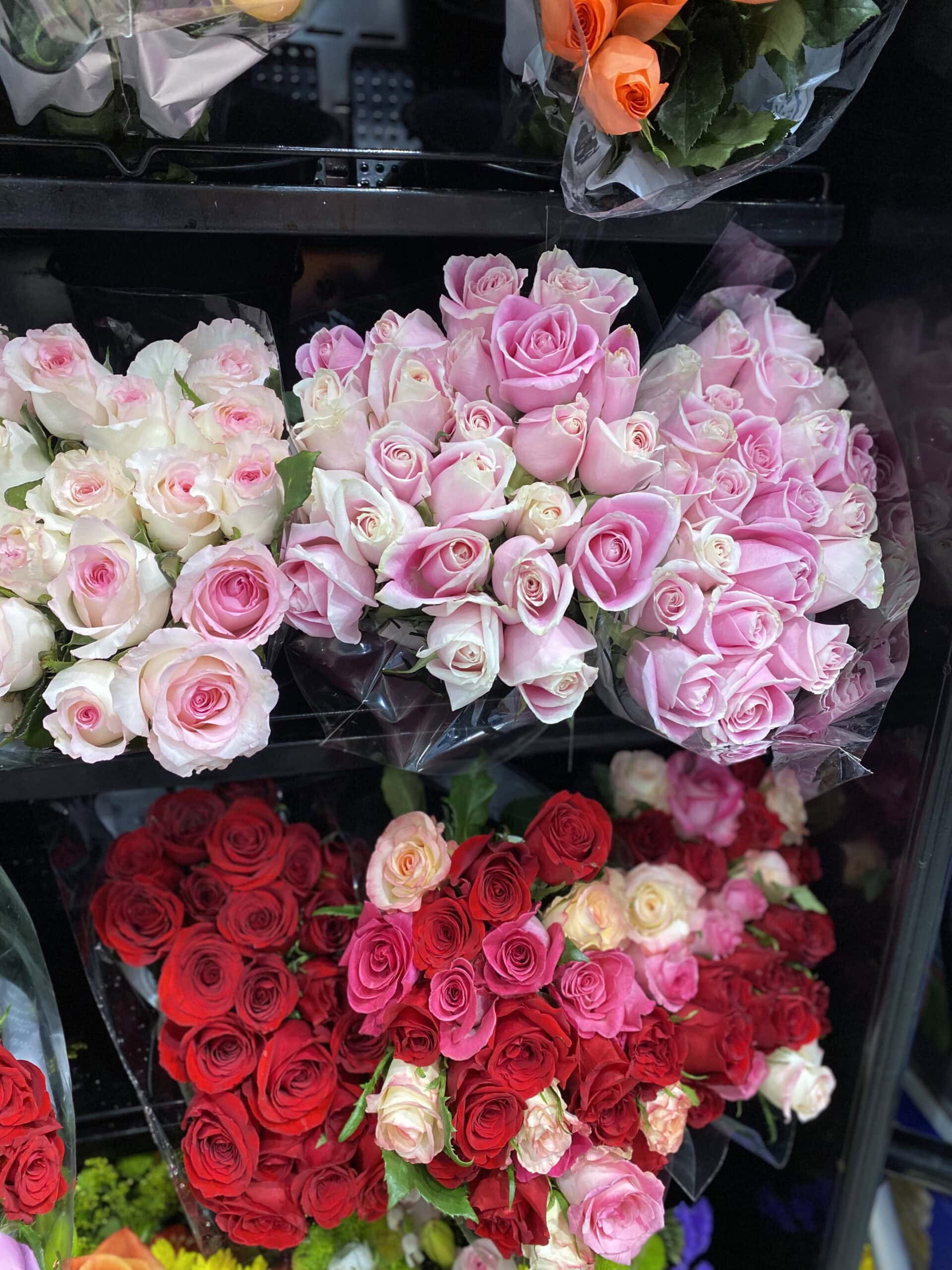 costco roses