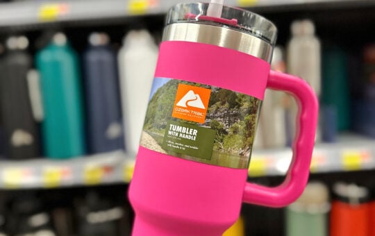 stanley dupe tumblers
