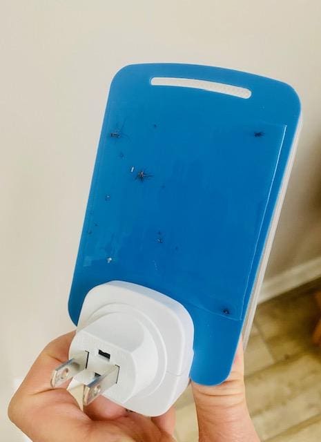 Raid Light Trap Coupon