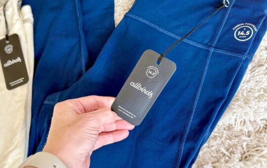 allbirds apparel