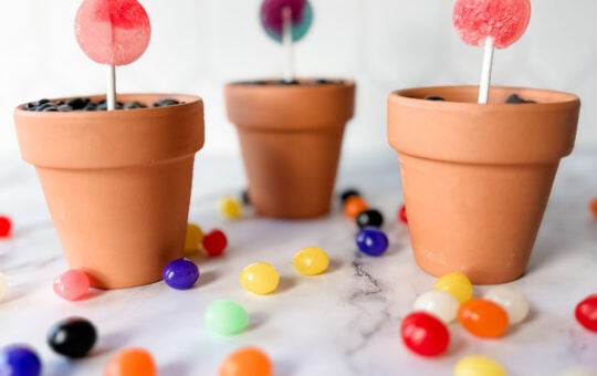 Magic Jelly Bean Garden