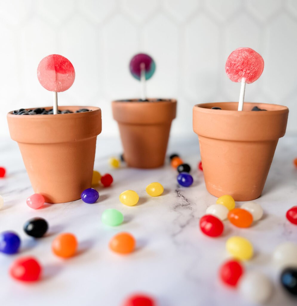 Magic Jelly Bean Garden