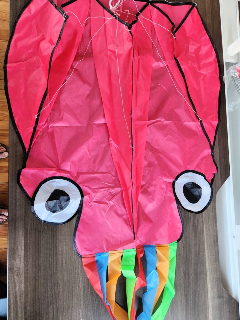 octopus kite