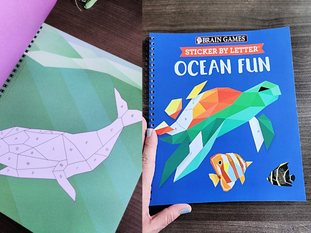paint by ocean book