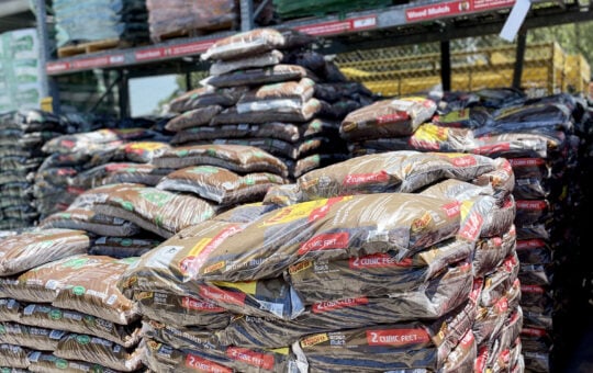 mulch