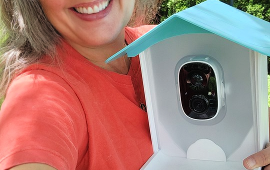 bird feeder camera