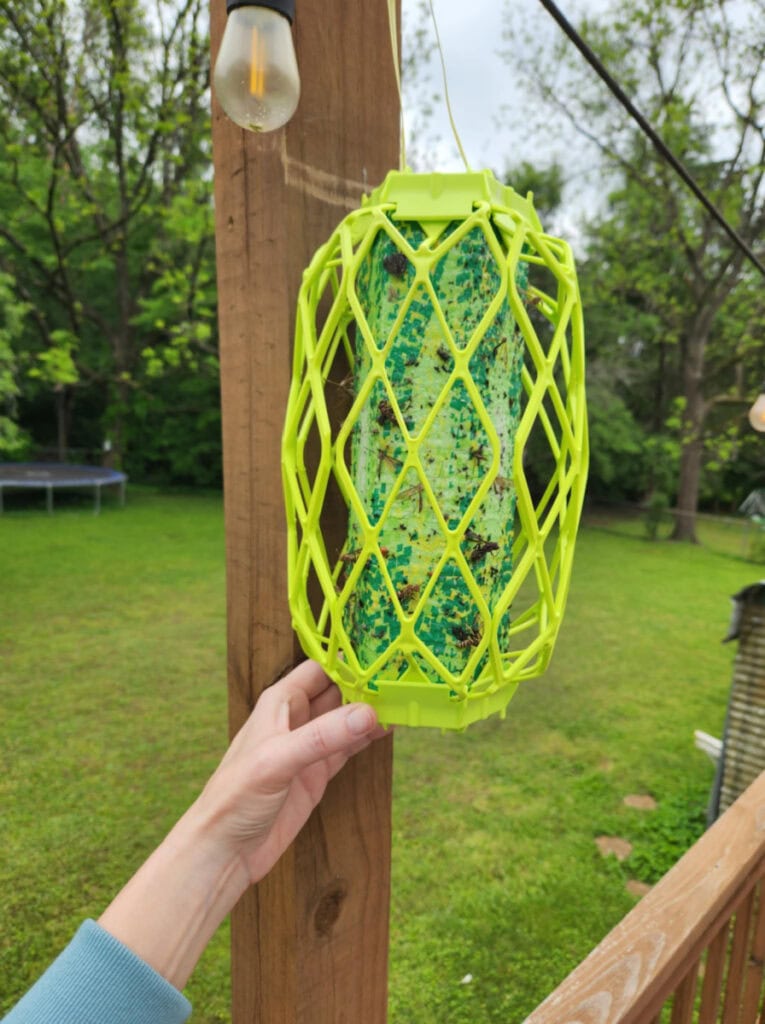 hanging wasp trap