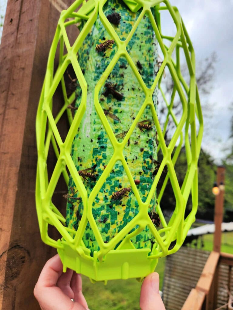 wasp trap for porch