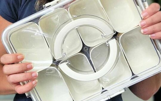 Divided Snack Containers