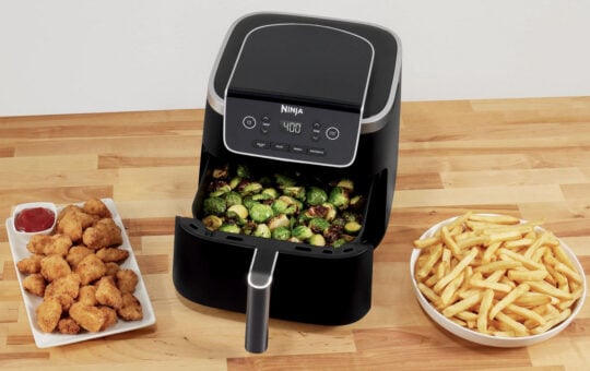 ninja air fryer