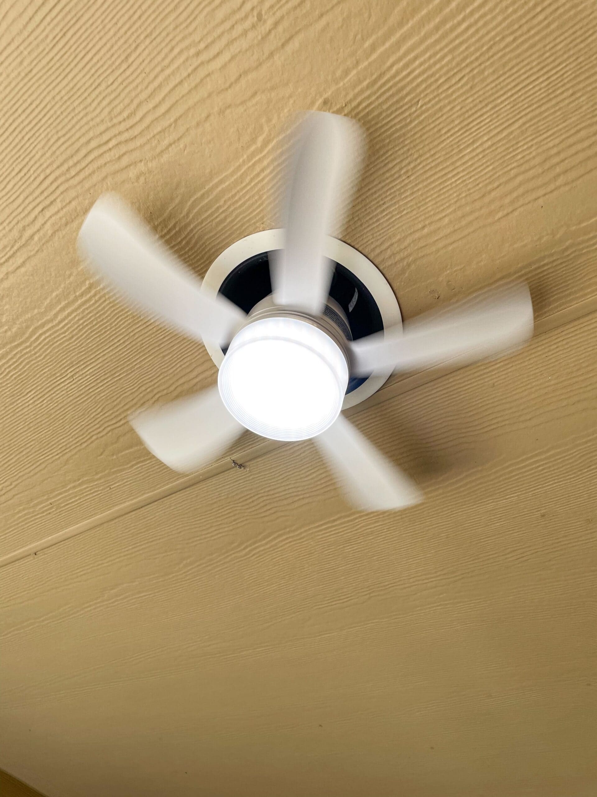 socket light fan