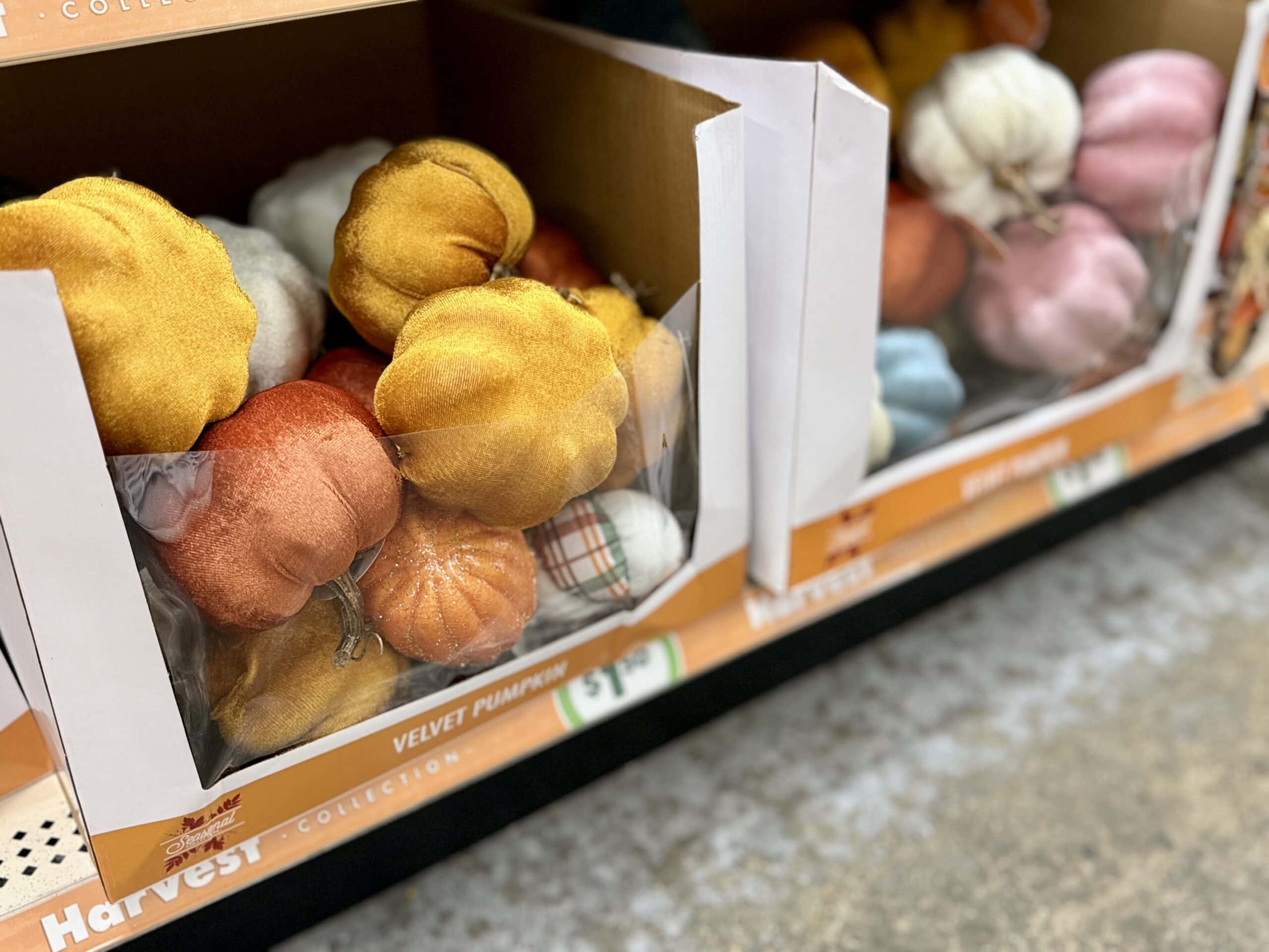 Dollar Tree mini velvet pumpkins