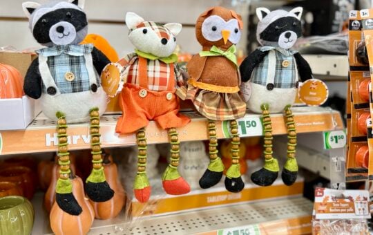 dollar tree fall decor1491