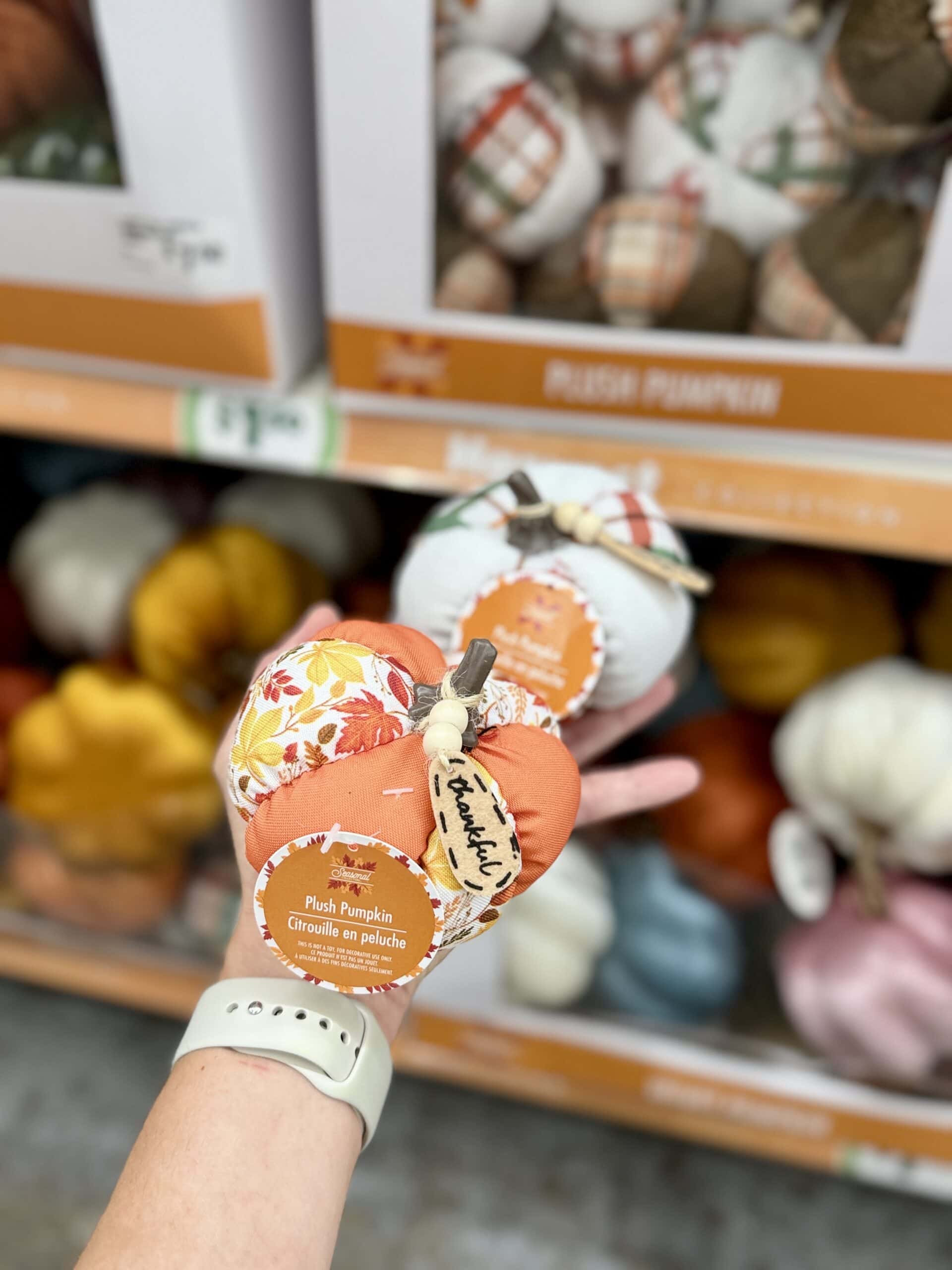 Dollar Tree fall decor