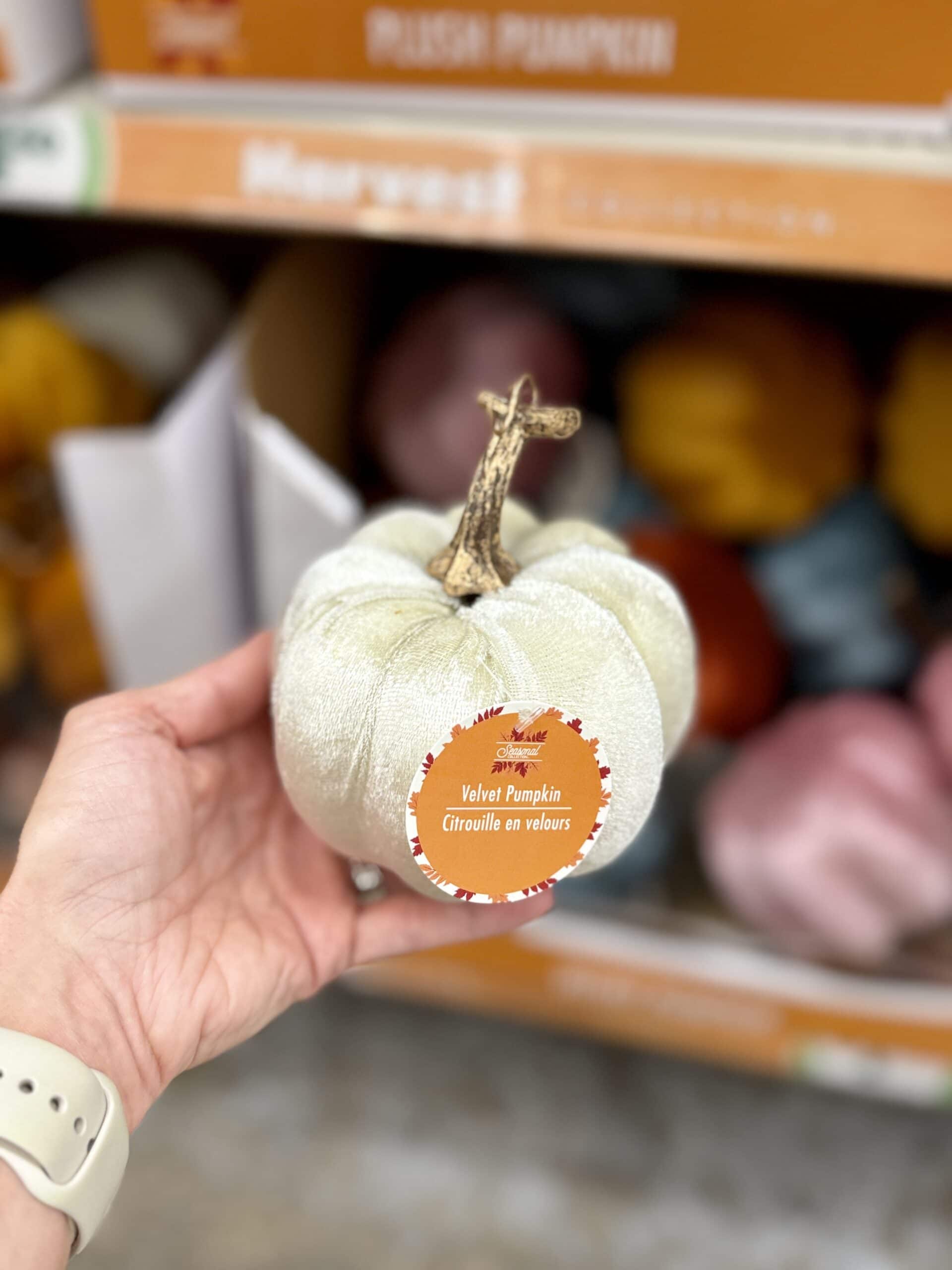 Dollar Tree velvet pumpkins