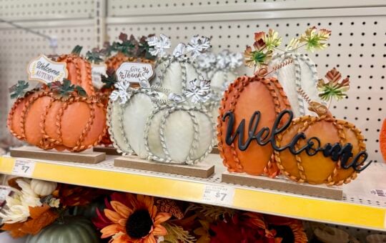 dollar tree fall decor1501