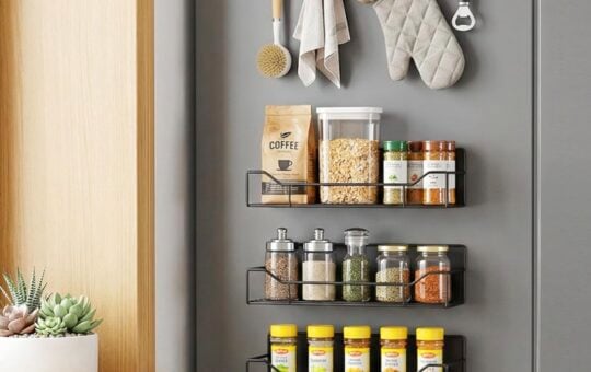 FancyMule Magnetic Spice Rack for Refrigerator