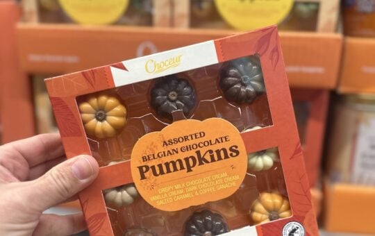 Aldi Fall Finds