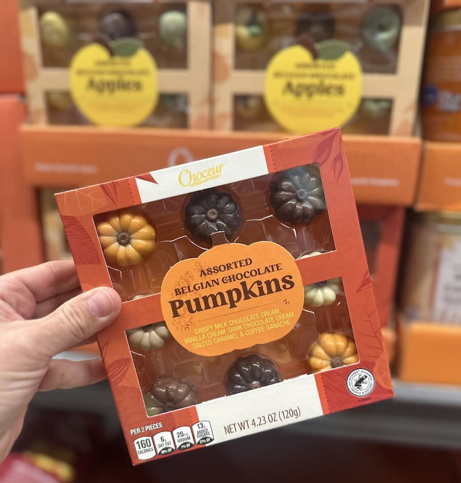 Aldi Fall Finds 
