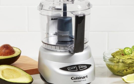 cuisinart food processor