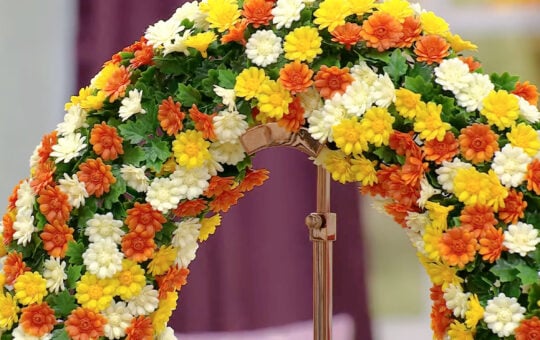 hsn wreath