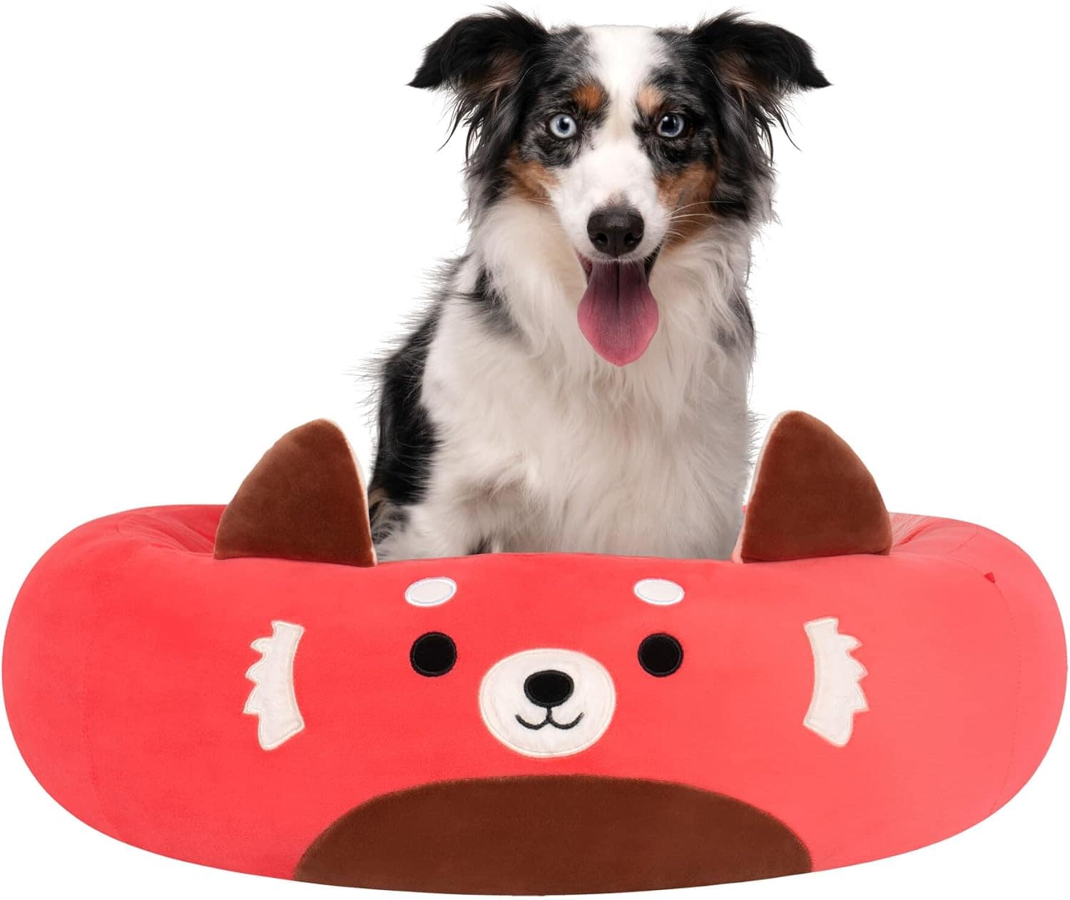 pet bed
