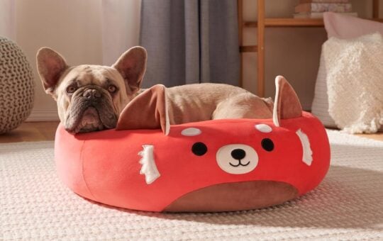 squishmallows