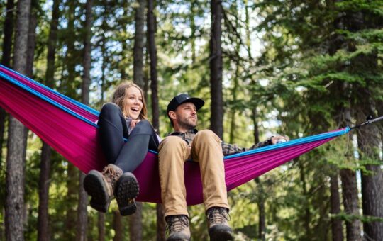 wise owl hammocks