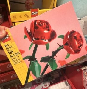 LEGO valentine set