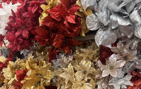 Dollar Tree Christmas 2025