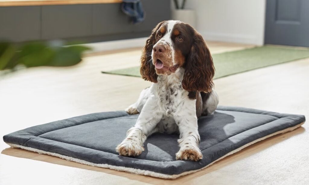 Self Warming Crate Mat