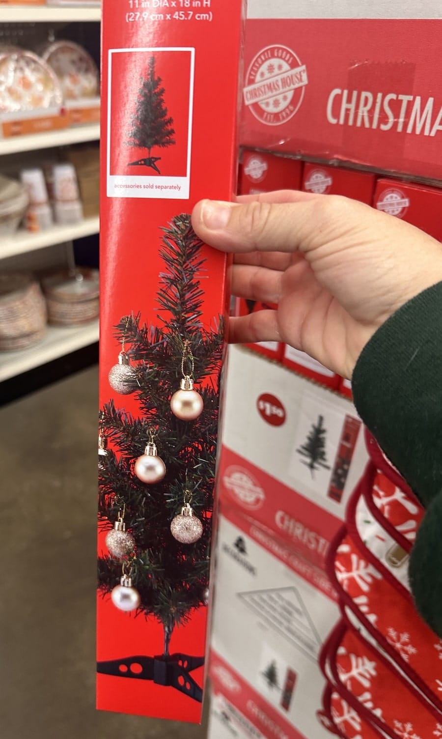 tiny tree at dollar tree