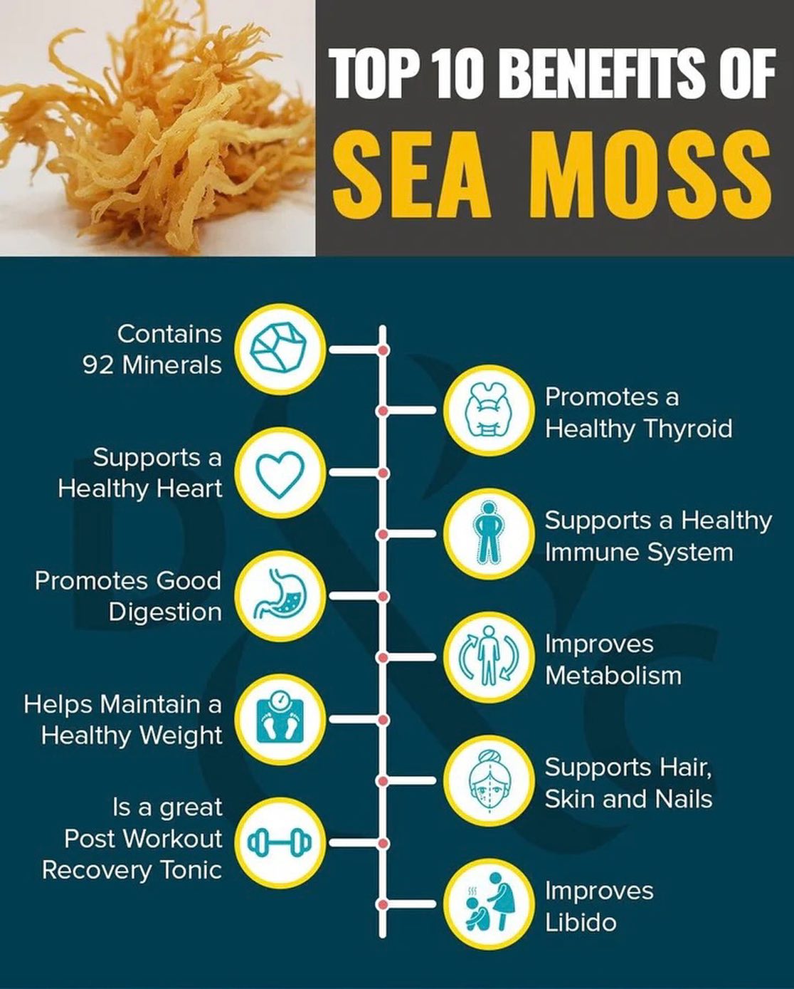 sea moss