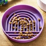 slow feeder dog bowl purple rainbow vibrant life brand