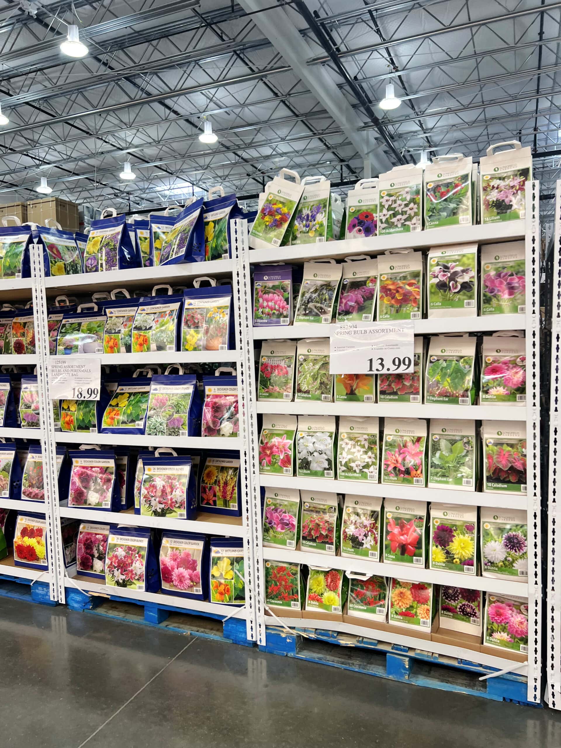 costco plants