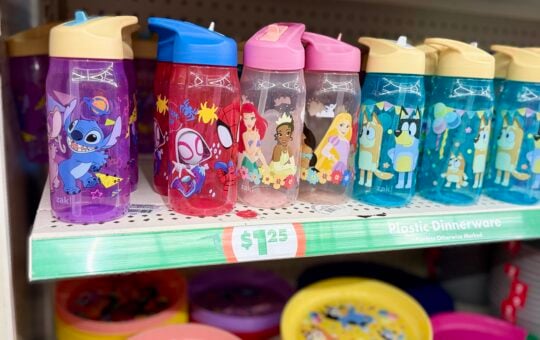 dollar tree cups