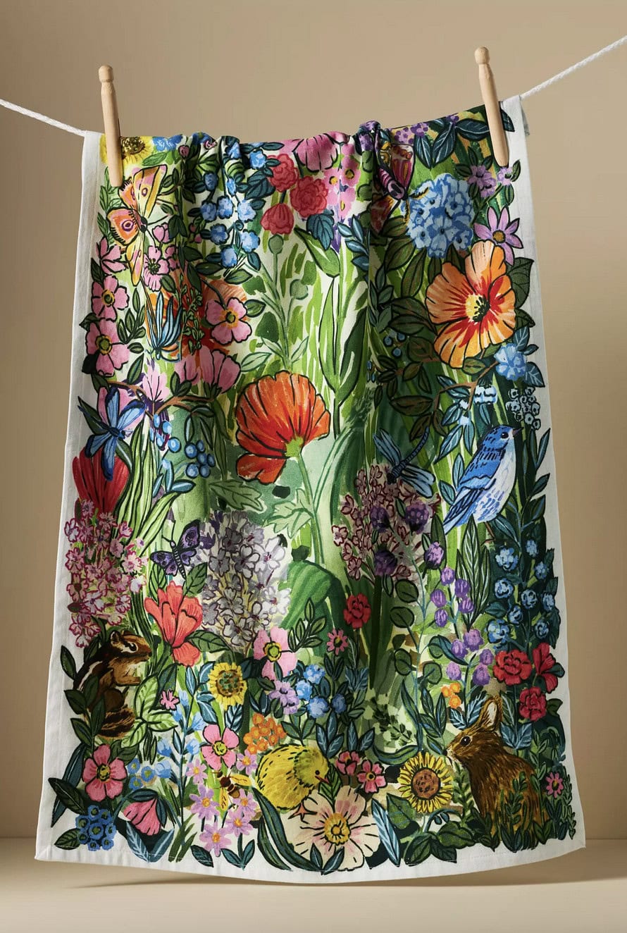 anthropologie