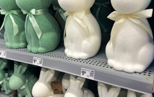 target bunnies
