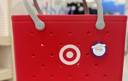 target bogg bag