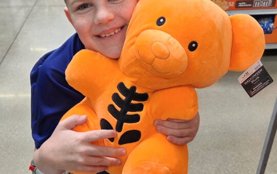 walmart bears